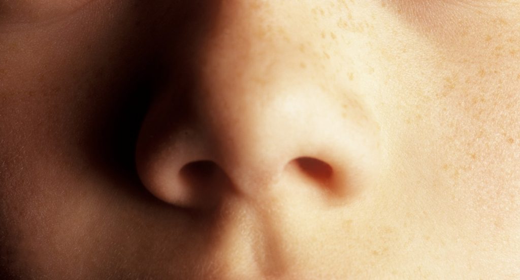 Perda temporária do olfato: por que acontece e como tratá-la